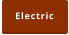 Electric